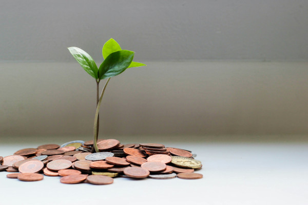 Quando “disinvestire” significa realizzare un sogno
